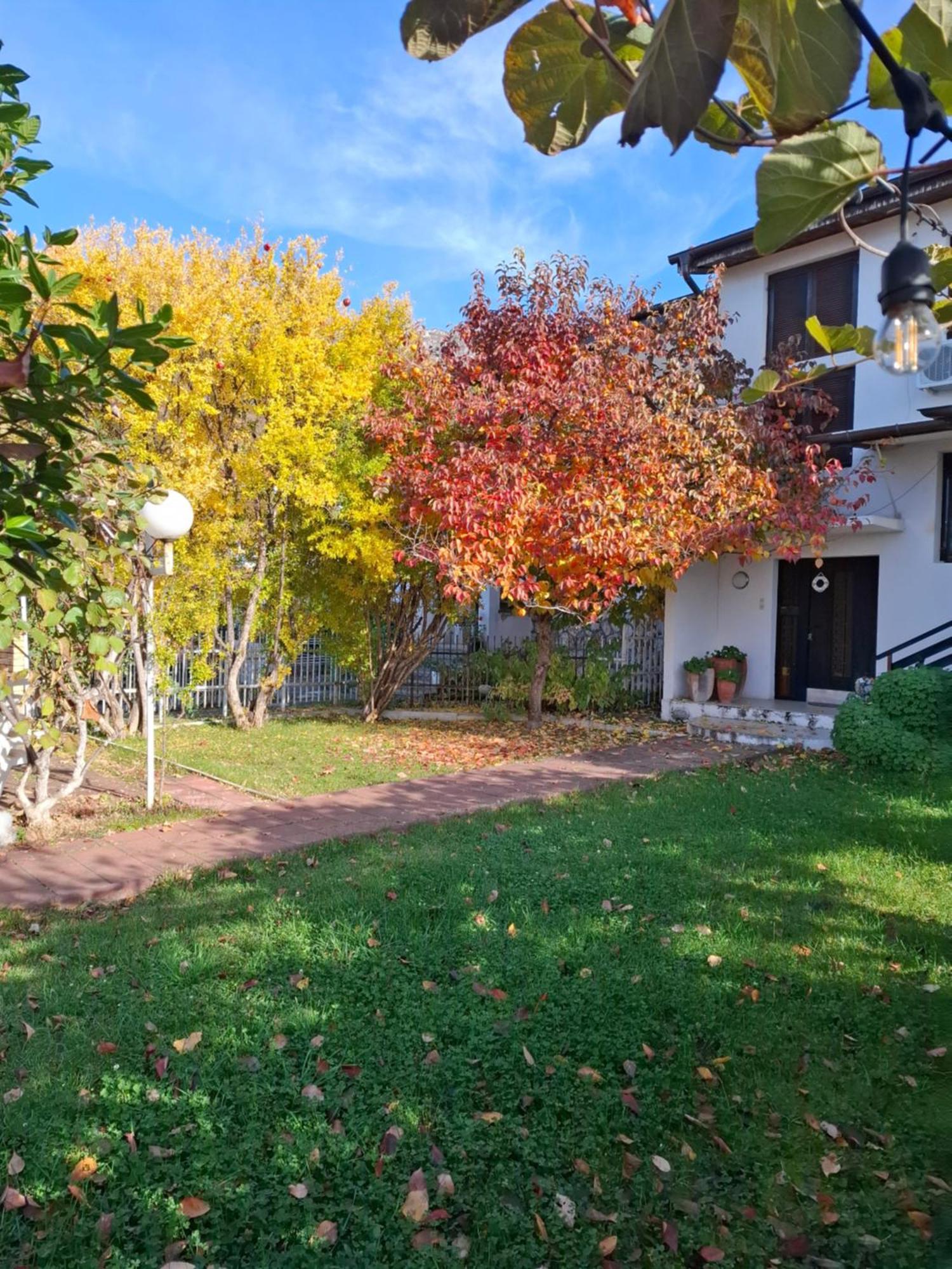 Apartments Villa Boris 奥赫里德 外观 照片